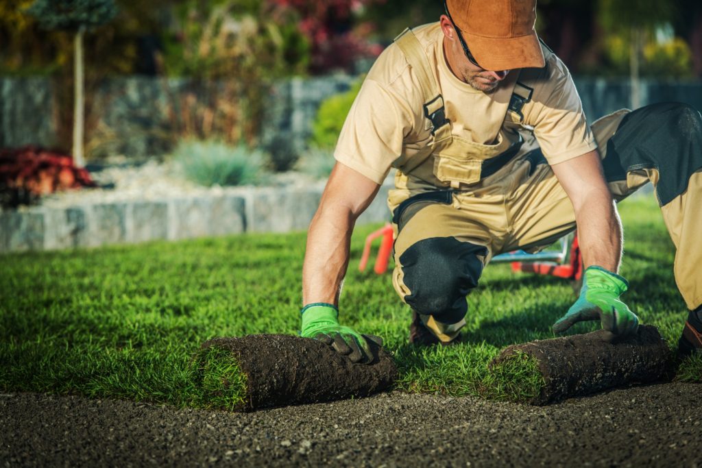 Landscaping Services