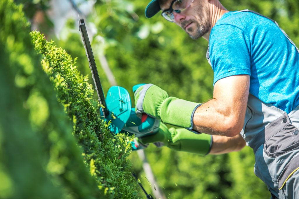 Shrub Trimming Services